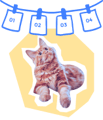 Chat et date