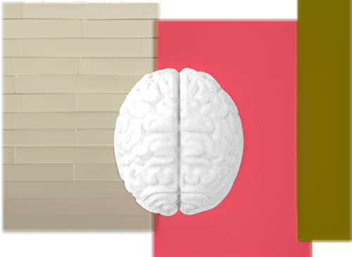UX cerveau