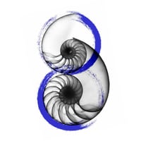 Résilience et robustesse deux piliers de l’adaptation