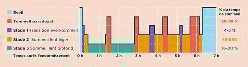 Schéma cycle du sommeil