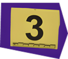 ROI 3