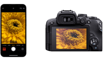 Appareile photo détouré