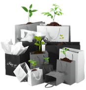 plantes soldes