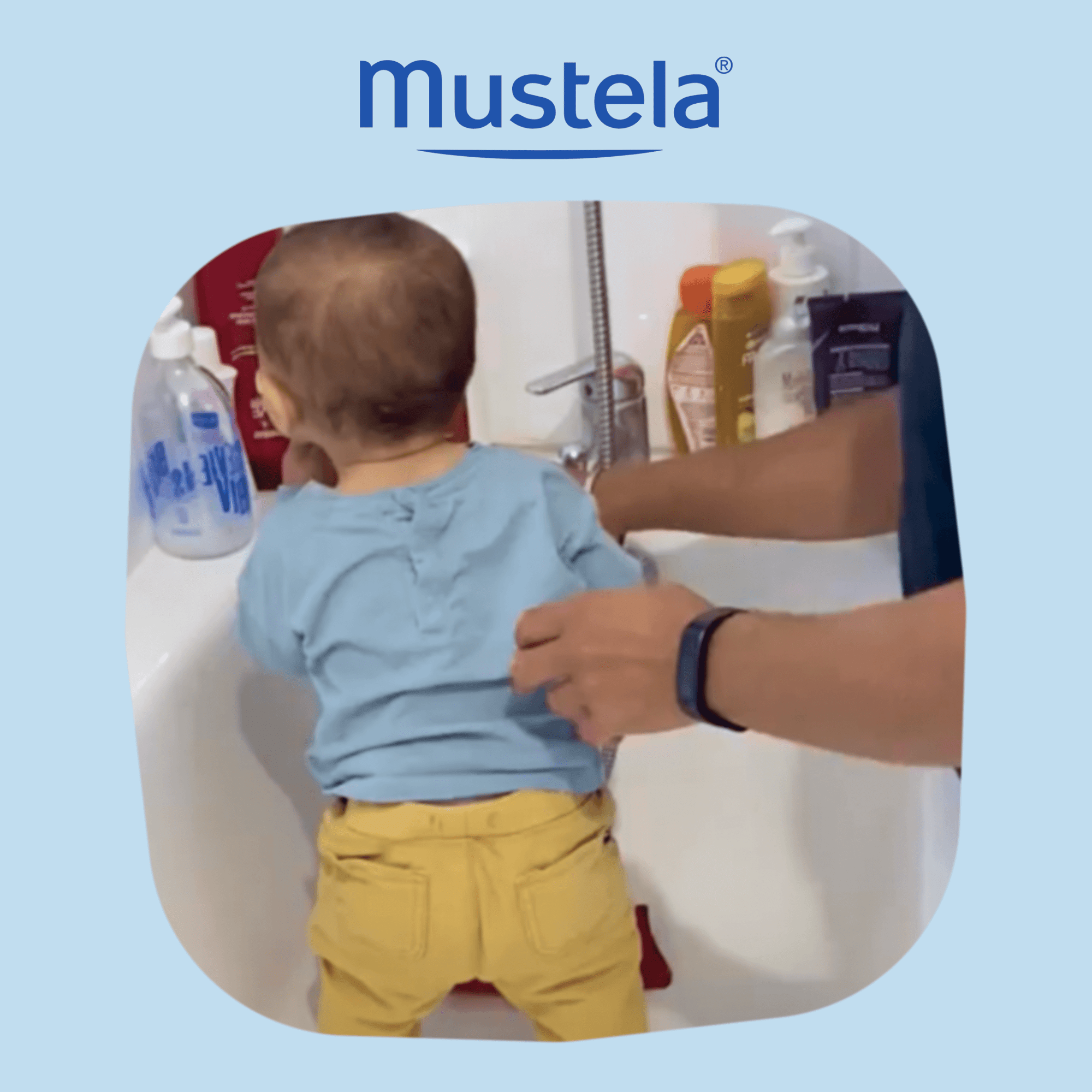 Étude ethno - Mustela